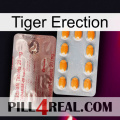 Tiger Erection new13